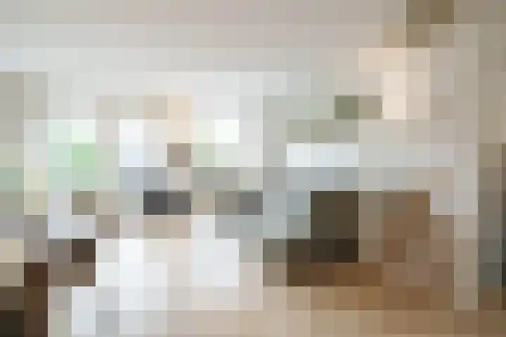 Morelgaarde 24 Nieuwegein thumbnail 6