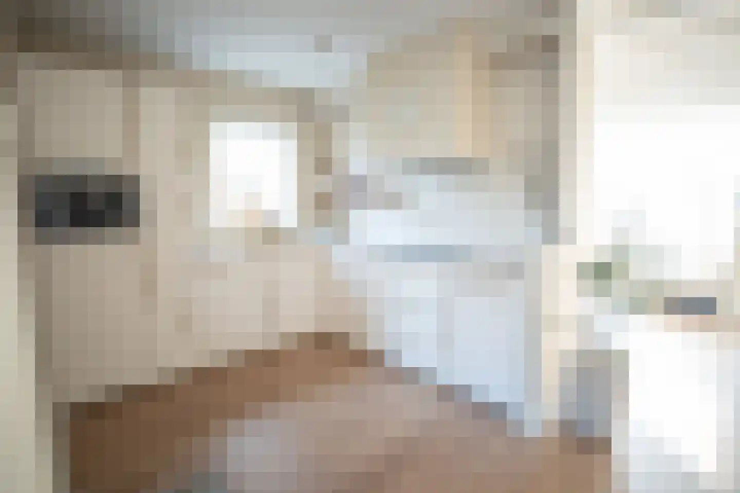 Morelissenstraat 24 't Loo Oldebroek thumbnail 20
