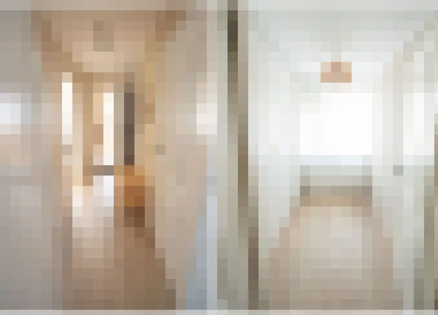 Morelissenstraat 24 't Loo Oldebroek thumbnail 22