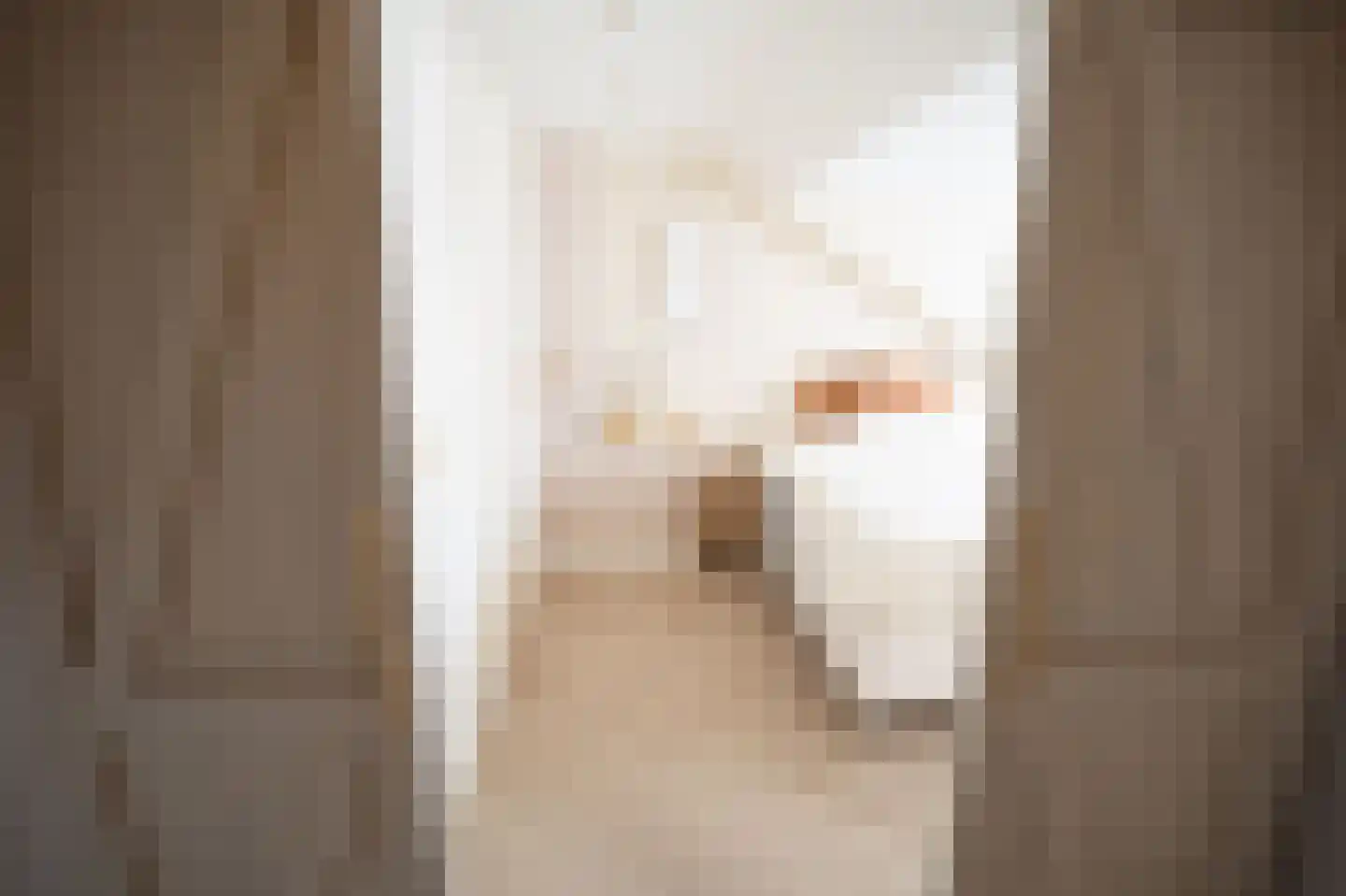 Morelissenstraat 24 't Loo Oldebroek thumbnail 32