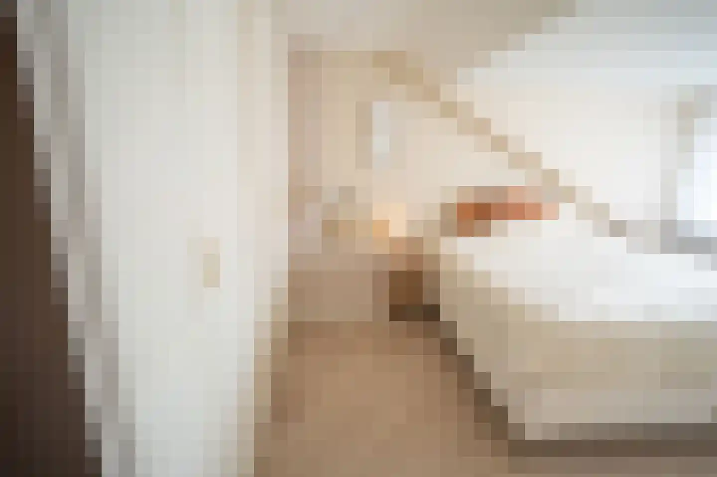 Morelissenstraat 24 't Loo Oldebroek thumbnail 34