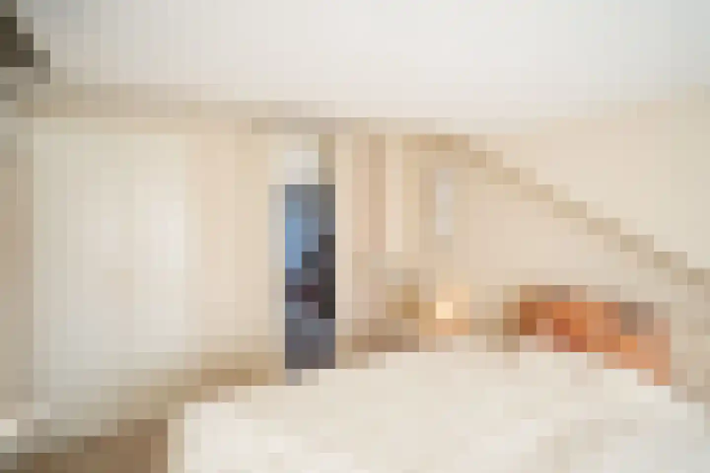Morelissenstraat 24 't Loo Oldebroek thumbnail 35