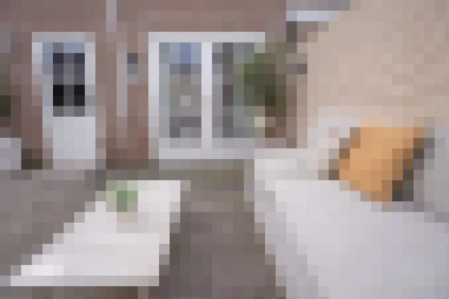 Morelissenstraat 24 't Loo Oldebroek thumbnail 39
