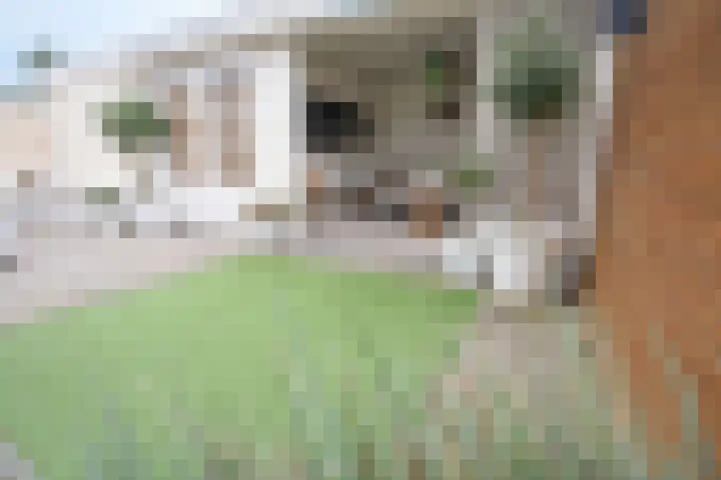 Morelissenstraat 24 't Loo Oldebroek thumbnail 40