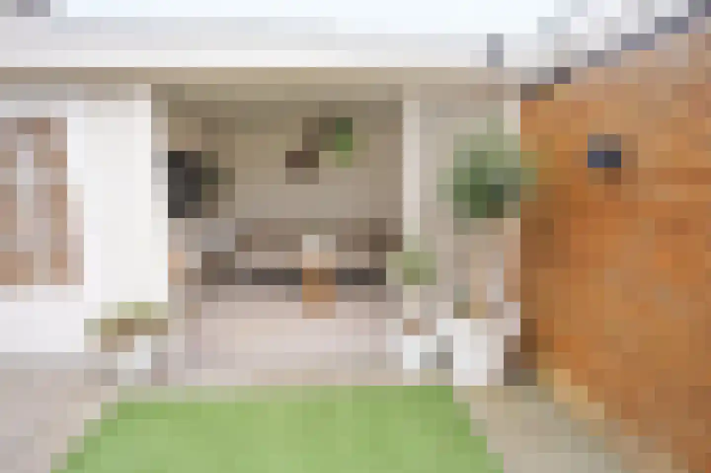 Morelissenstraat 24 't Loo Oldebroek thumbnail 41