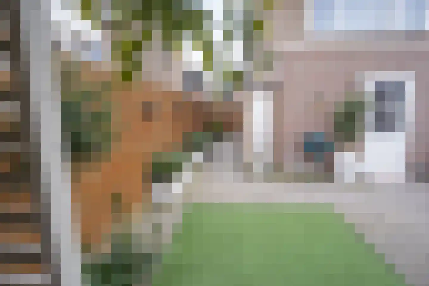 Morelissenstraat 24 't Loo Oldebroek thumbnail 42