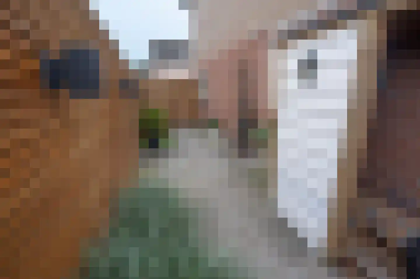 Morelissenstraat 24 't Loo Oldebroek thumbnail 43