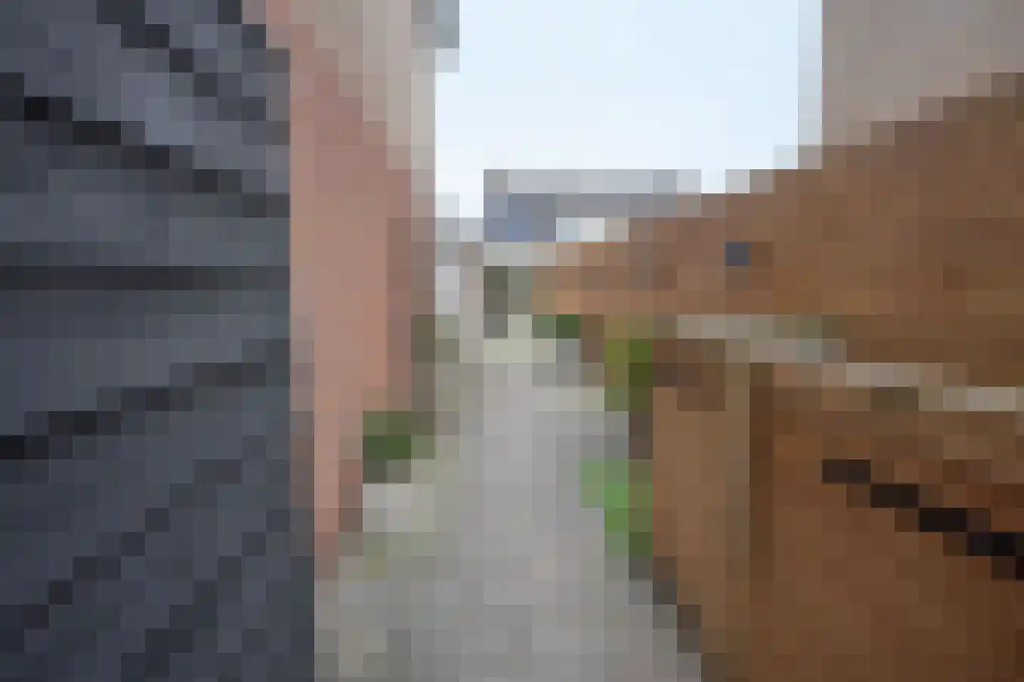 Morelissenstraat 24 't Loo Oldebroek thumbnail 44