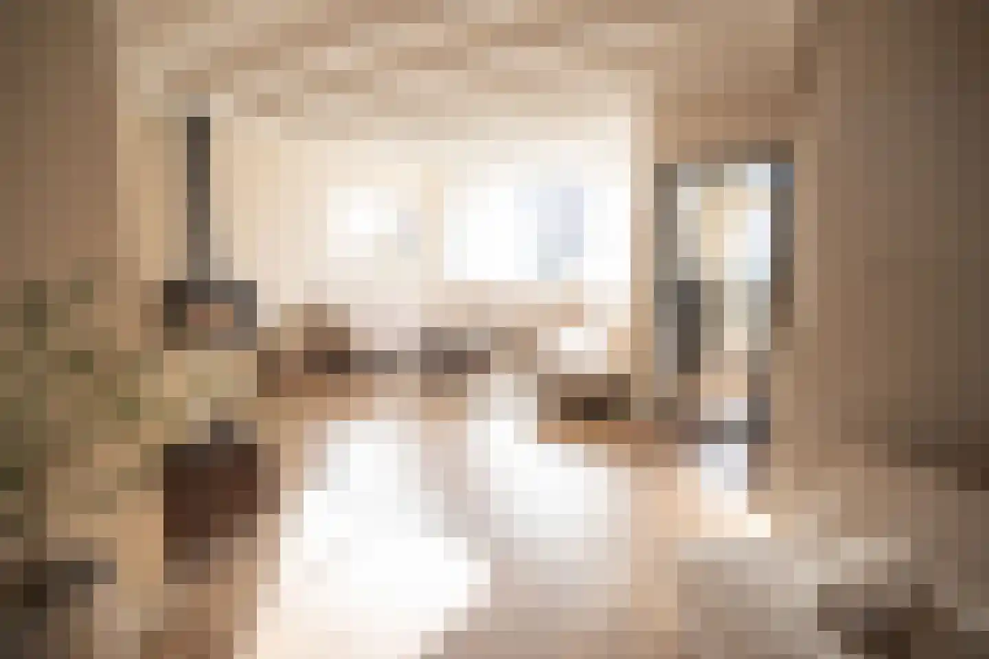 Morelissenstraat 24 't Loo Oldebroek thumbnail 9