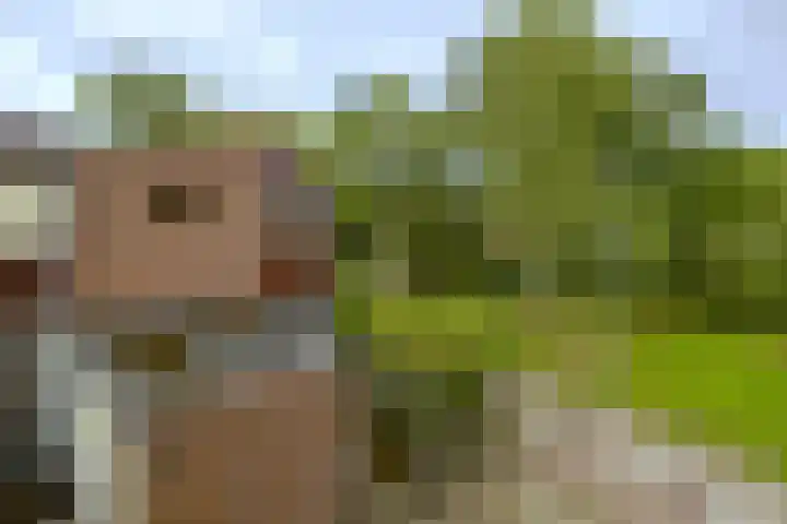 Morellendreef 19 Rozenburg thumbnail 10