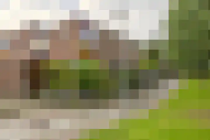 Morellendreef 19 Rozenburg thumbnail 11