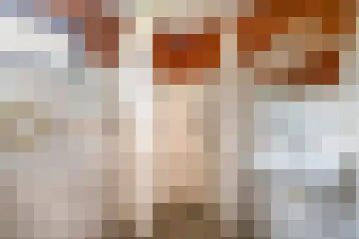 Morellendreef 19 Rozenburg thumbnail 26