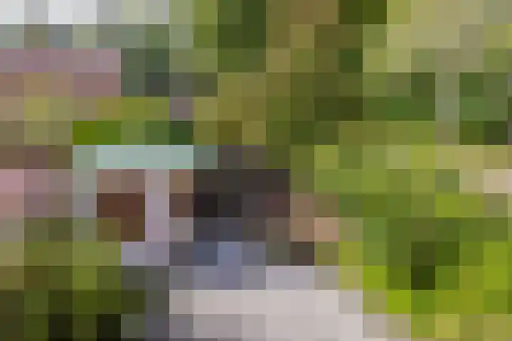 Morellendreef 19 Rozenburg thumbnail 29