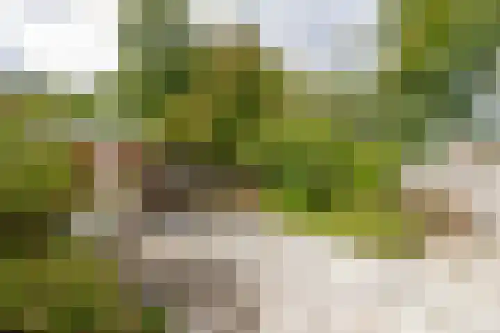 Morellendreef 19 Rozenburg thumbnail 30