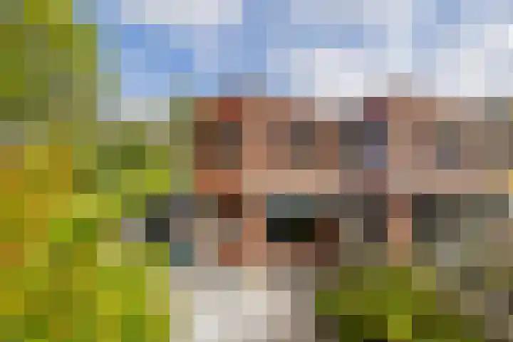 Morellendreef 19 Rozenburg thumbnail 31