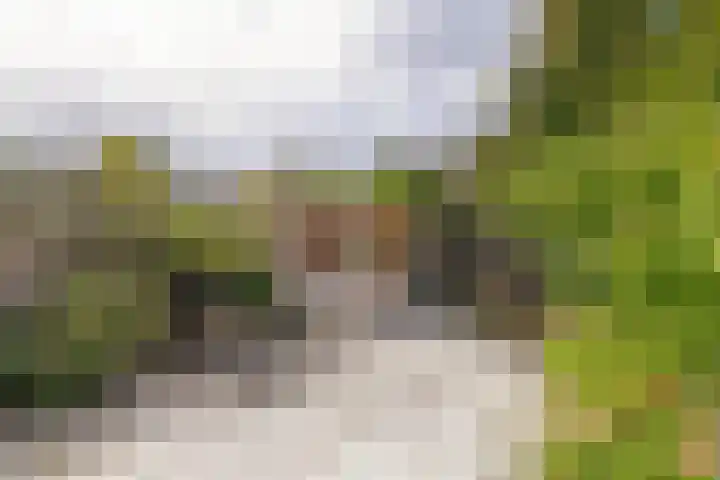 Morellendreef 19 Rozenburg thumbnail 5