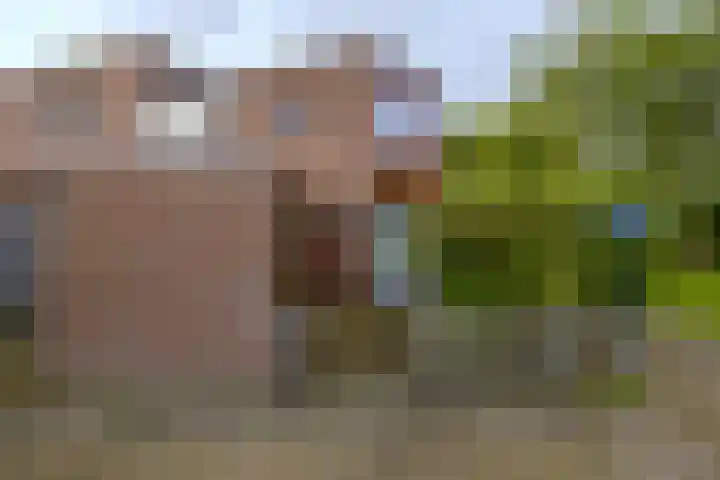 Morellendreef 19 Rozenburg thumbnail 7