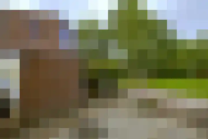 Morellendreef 19 Rozenburg thumbnail 9