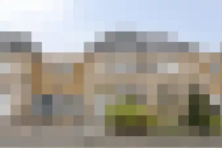 Morellenstraat 8 Almere thumbnail 4