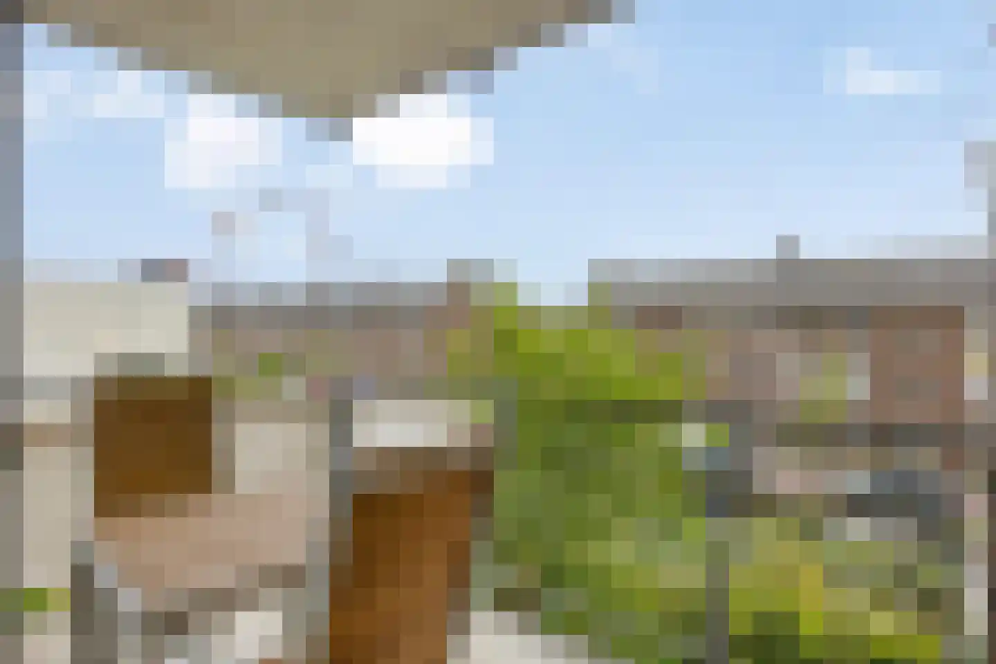 Morellenweg 23 Leiden thumbnail 33