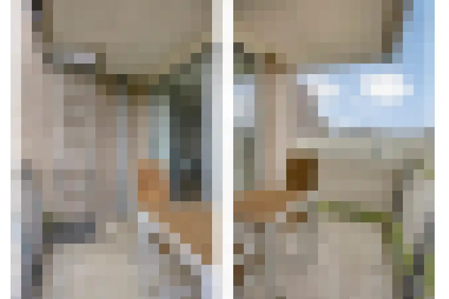 Morellenweg 23 Leiden thumbnail 34