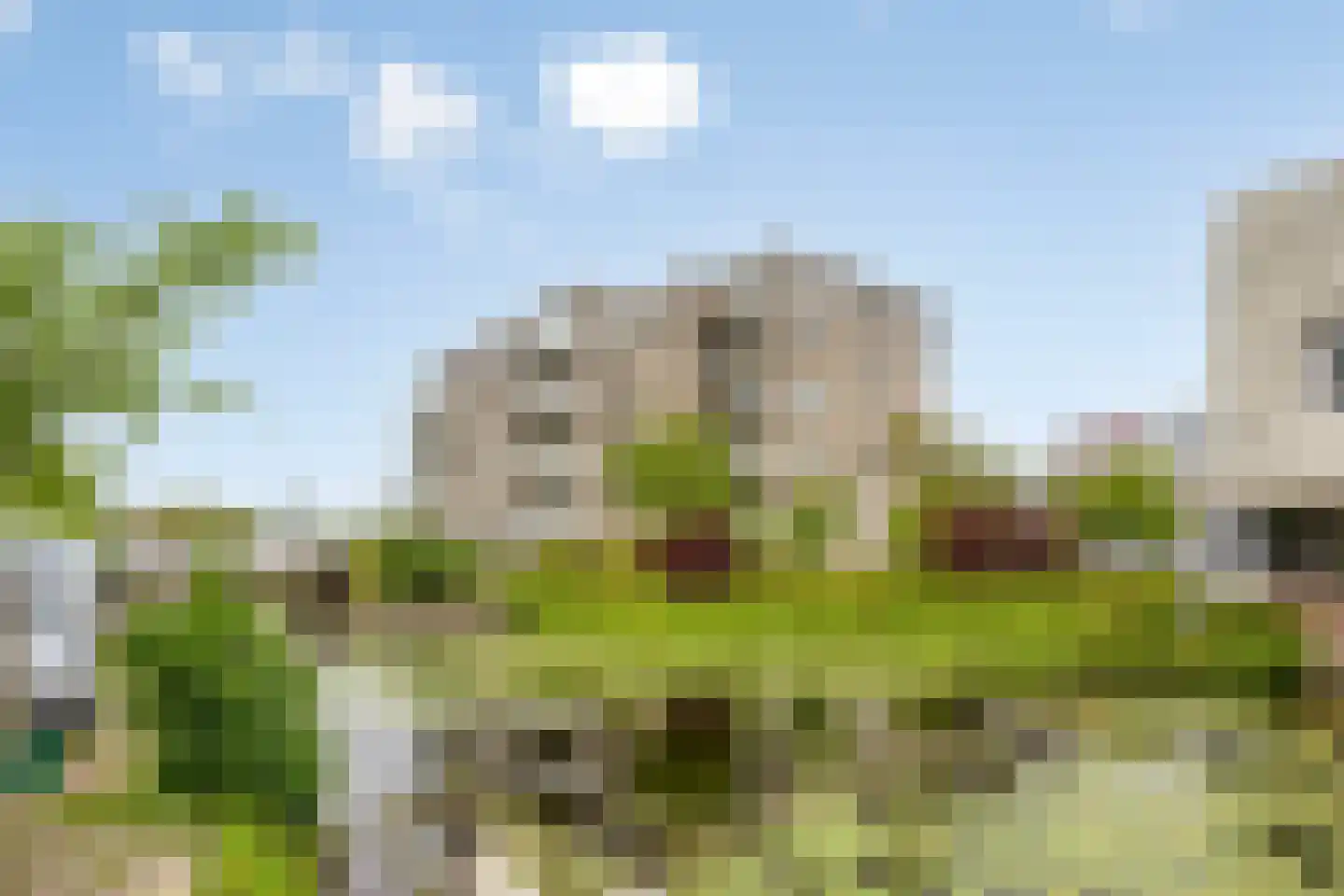 Morellenweg 23 Leiden thumbnail 37