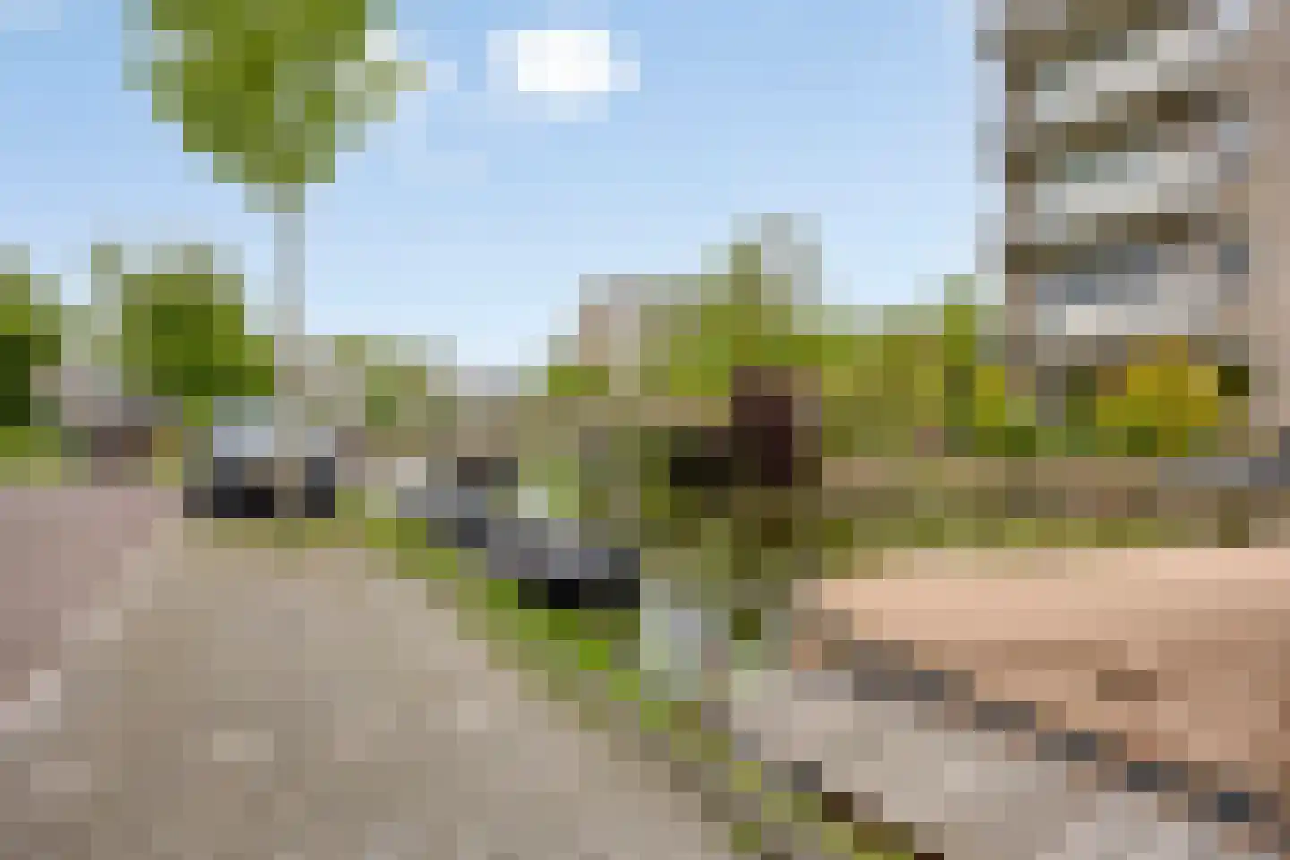 Morellenweg 23 Leiden thumbnail 38