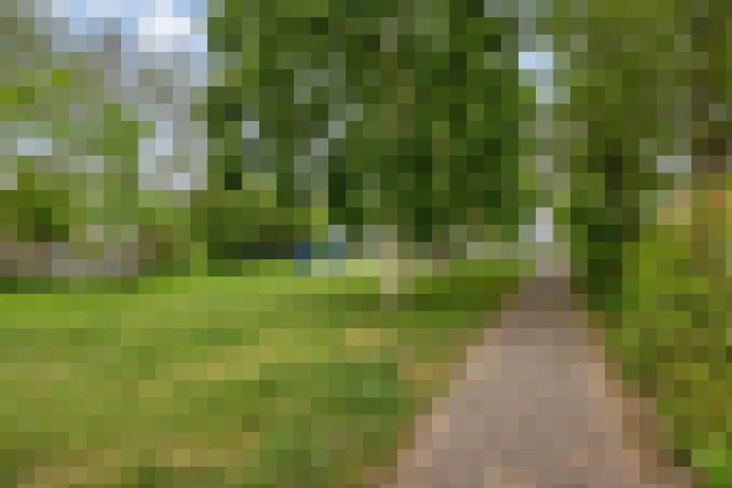 Morellenweg 23 Leiden thumbnail 39