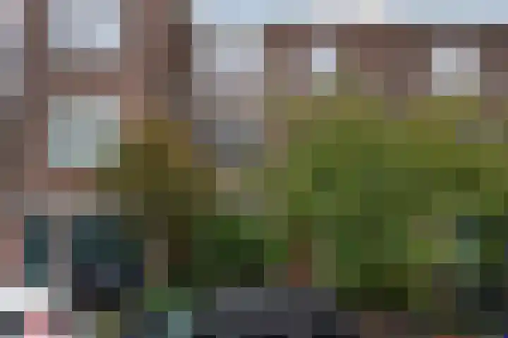 Morelstraat 10 Den Haag thumbnail 9