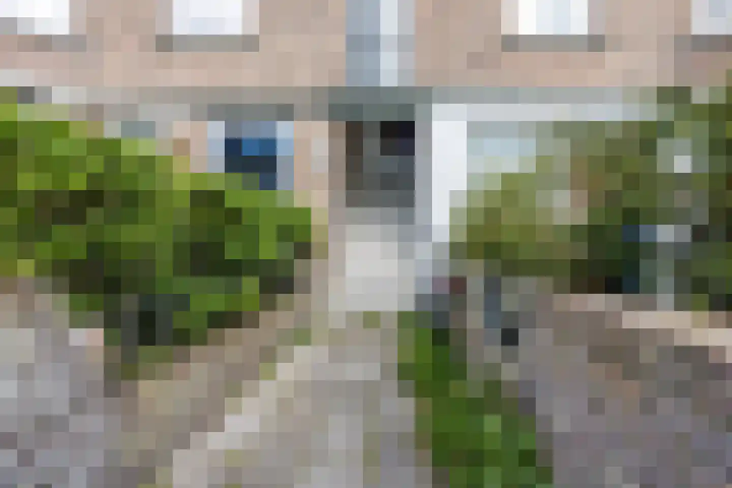 Morelstraat 107 Den Haag thumbnail 6
