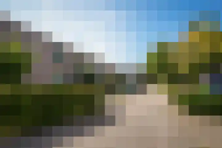 Morelstraat 13 Beneden-Leeuwen thumbnail 47