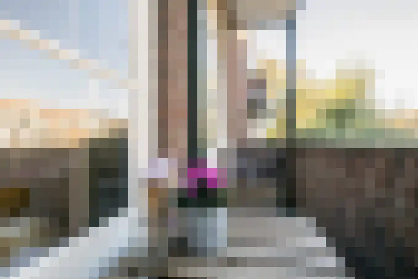 Morelstraat 15 Den Haag thumbnail 22