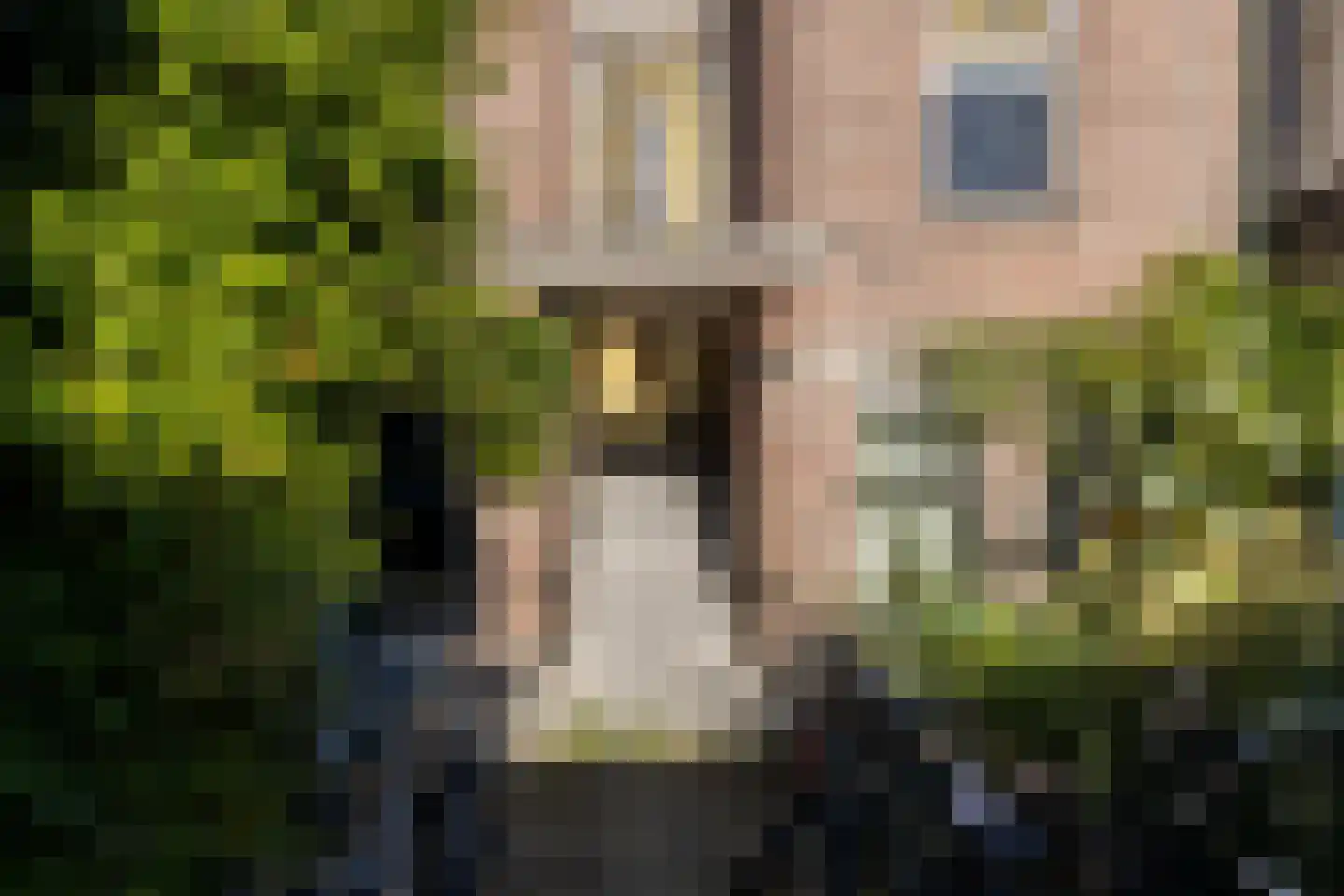 Morelstraat 15 Den Haag thumbnail 38