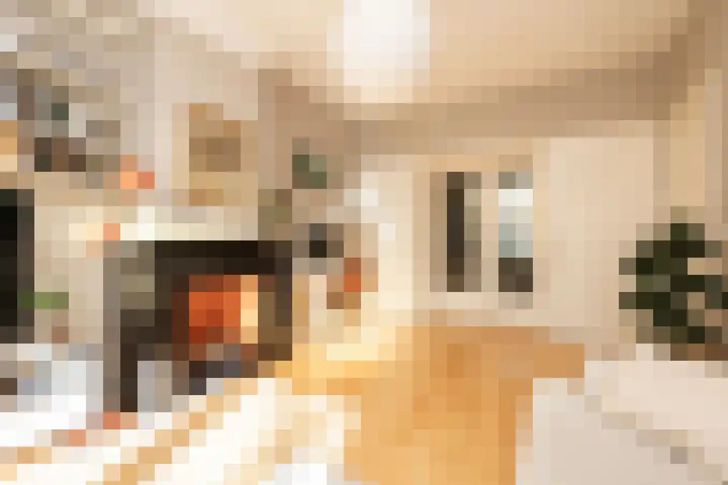 Morelstraat 15 Den Haag thumbnail 5