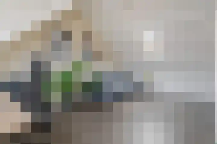 Morelstraat 16 Utrecht thumbnail 34