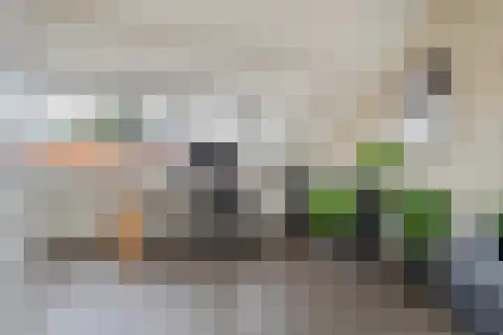 Morelstraat 16 Utrecht thumbnail 35