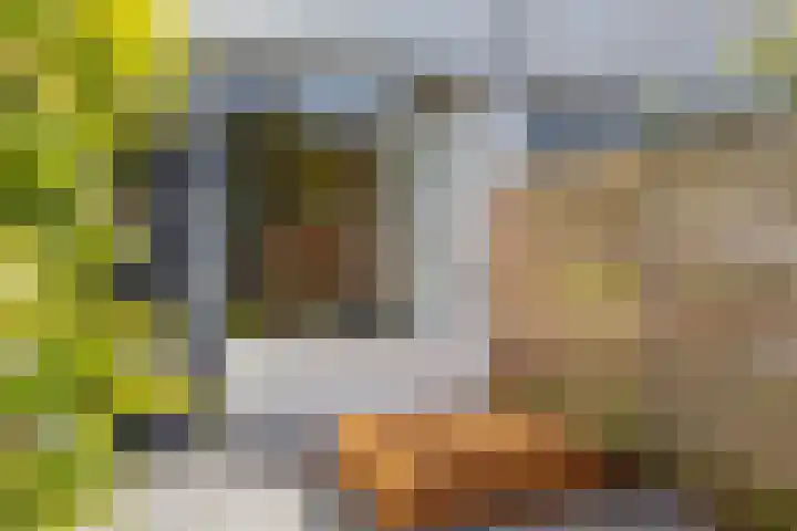 Morelstraat 16 Utrecht thumbnail 39