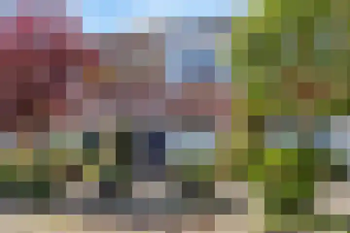 Morelstraat 16 Utrecht thumbnail 5