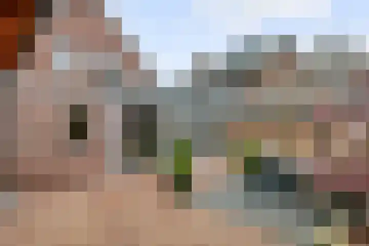 Morelstraat 3 Beneden-Leeuwen thumbnail 33