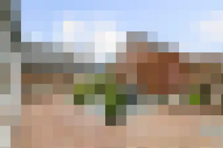 Morelstraat 3 Beneden-Leeuwen thumbnail 34