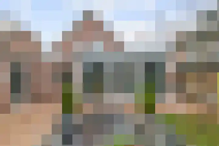 Morelstraat 3 Beneden-Leeuwen thumbnail 38