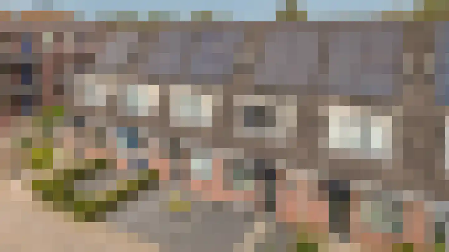 Morelstraat 57 Beneden-Leeuwen thumbnail 27