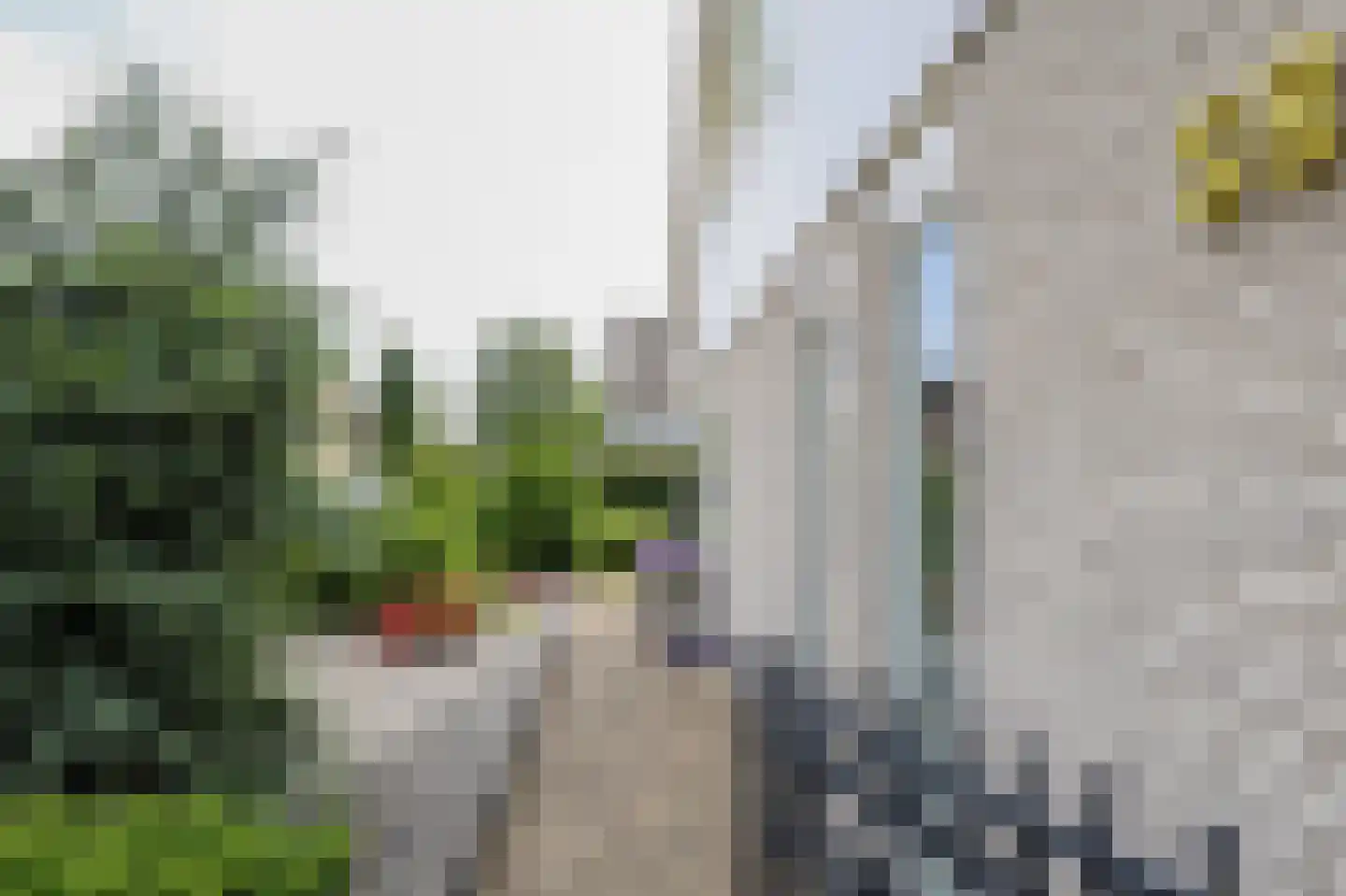 Morelstraat 58 Rockanje thumbnail 10