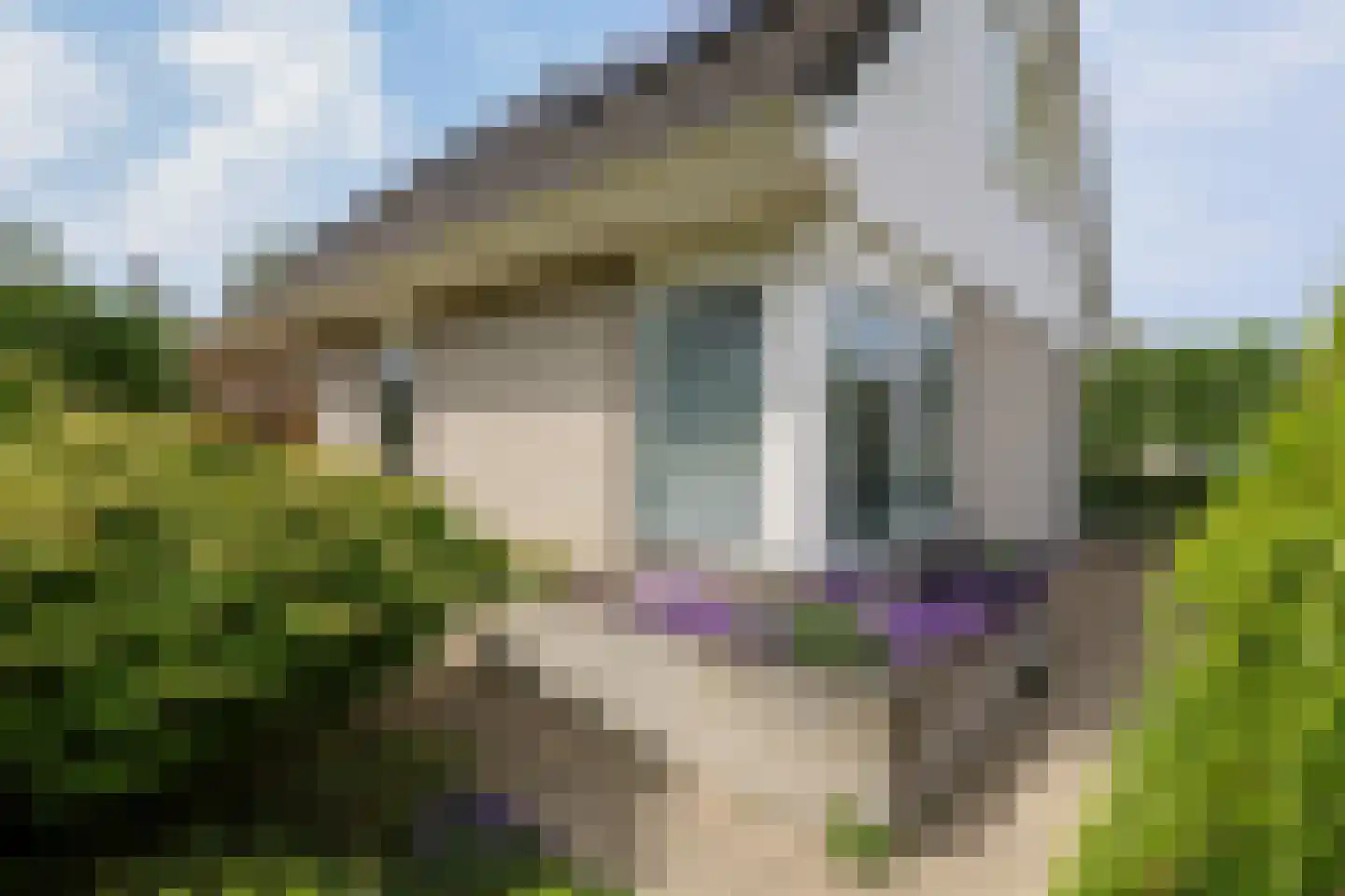 Morelstraat 58 Rockanje thumbnail 11