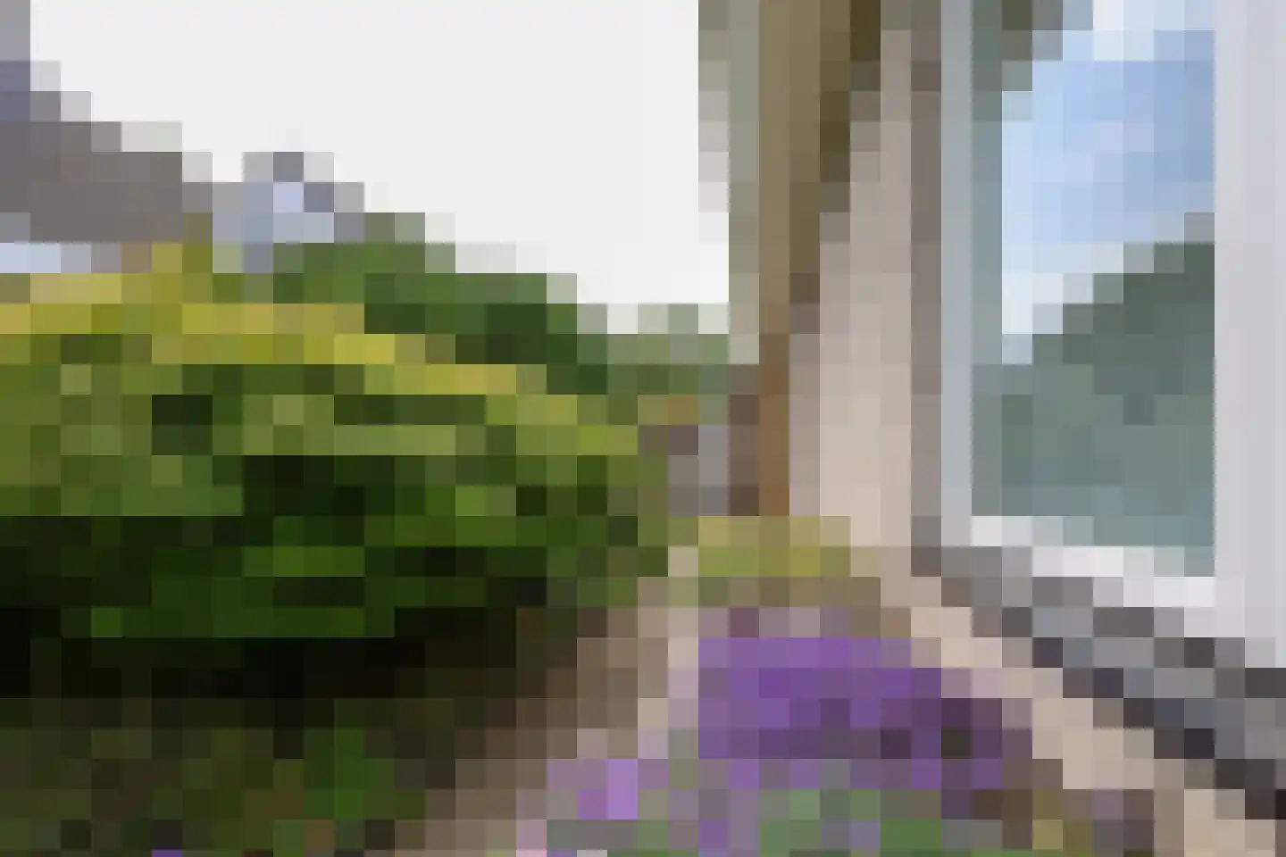 Morelstraat 58 Rockanje thumbnail 12