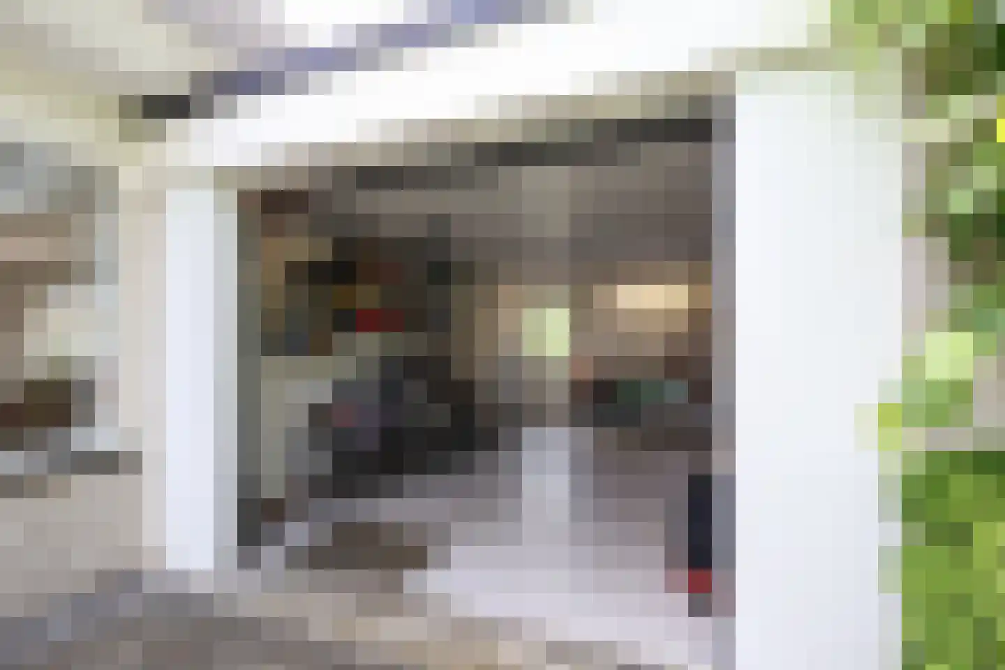Morelstraat 58 Rockanje thumbnail 15