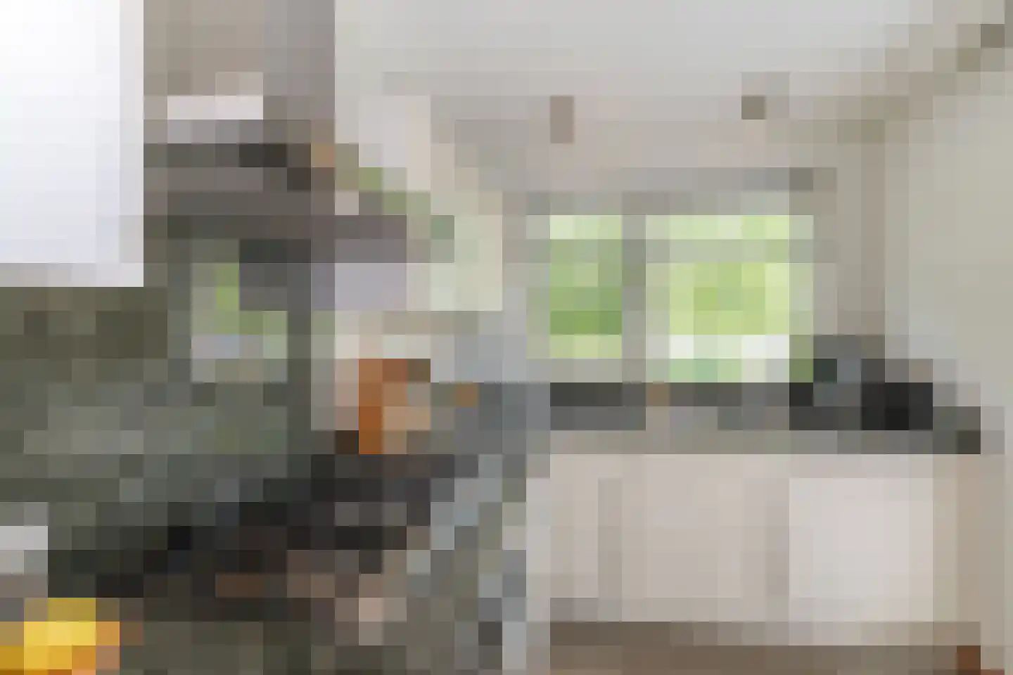 Morelstraat 58 Rockanje thumbnail 26