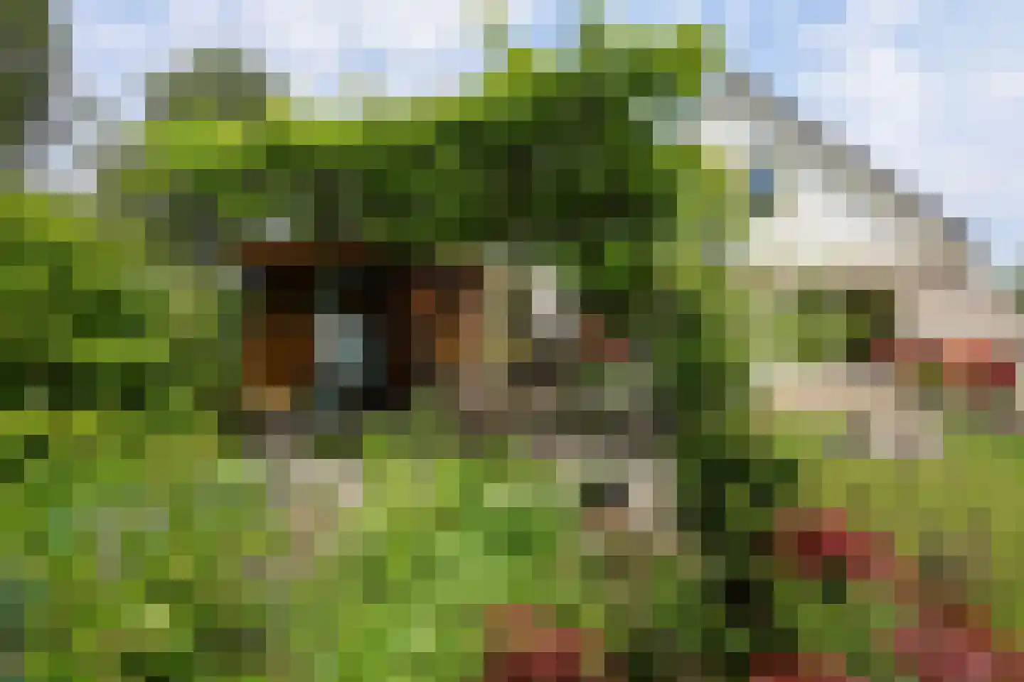 Morelstraat 58 Rockanje thumbnail 4