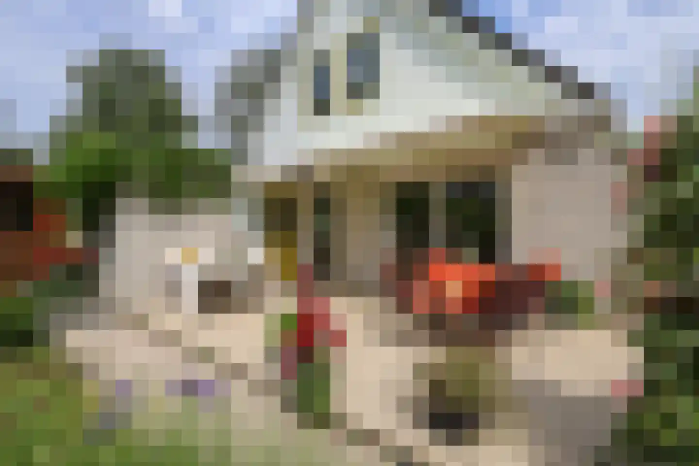 Morelstraat 58 Rockanje thumbnail 50