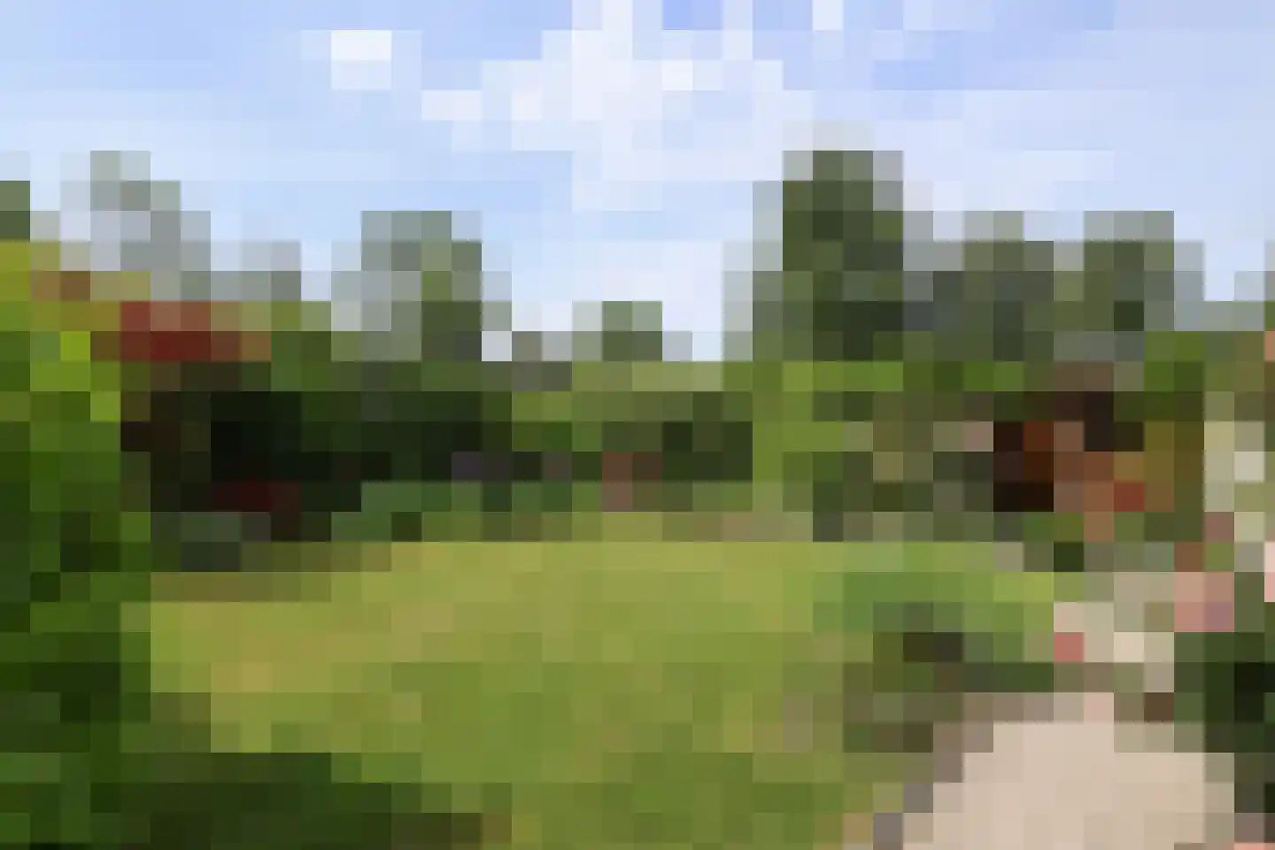 Morelstraat 58 Rockanje thumbnail 60